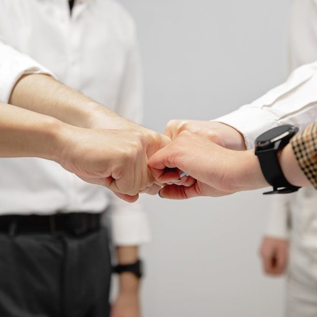 Naša vizija Naša vizija